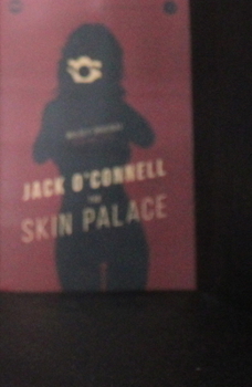 The Skin Palace - Book #3 of the Quinsigamond