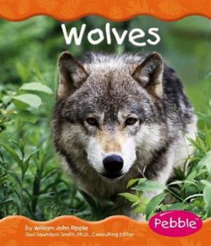 Hardcover Wolves Book