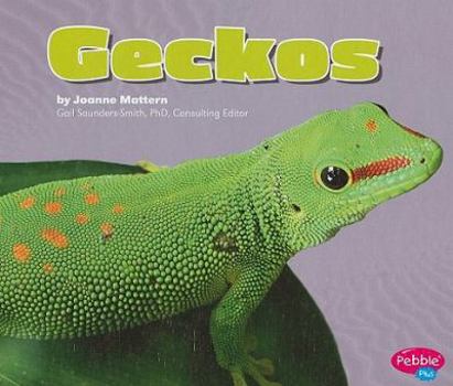 Hardcover Geckos Book