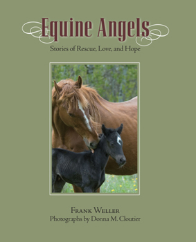 Hardcover Equine Angels: Stories of Rescue, Love, and Hope Book