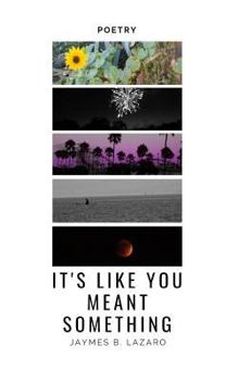 Paperback It's Like You Meant Something Book