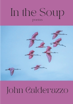 Paperback In The Soup Book