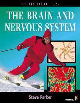 The Brain and Nervous System (Human Body) - Book  of the Human Body