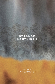 Paperback Strange Labyrinth Book