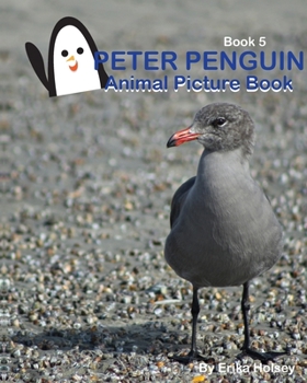 Paperback Peter Penguin: Animal Picture Book