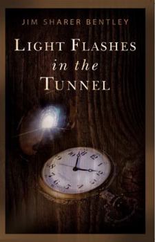 Paperback Light Flashes in the Tunnel Book