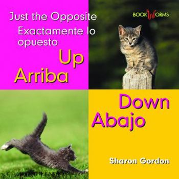Library Binding Arriba, Abajo / Up, Down Book