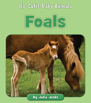 Paperback Foals Book