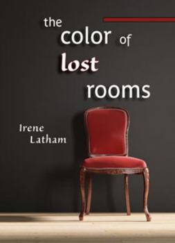 Perfect Paperback The Color of Lost Rooms Book