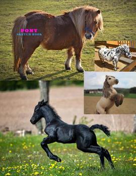 Pony Sketch Book: Practice Painting, Drawing, writing, Sketching or Creative Doodling.