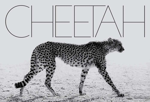 Hardcover Mark Segal: Cheetah Book