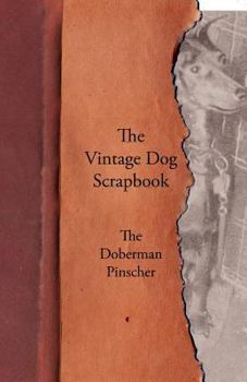 Paperback The Vintage Dog Scrapbook - The Doberman Pinscher Book