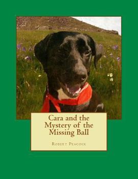 Paperback Cara and the Mystery of the Missing Ball Book