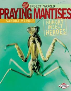 Library Binding Praying Mantises: Hungry Insect Heroes Book