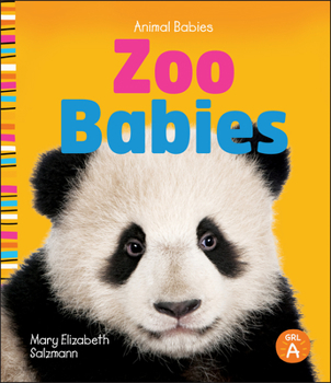 Paperback Zoo Babies Book