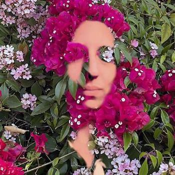 Music - CD You Are The Flower Music From Hildegard Book