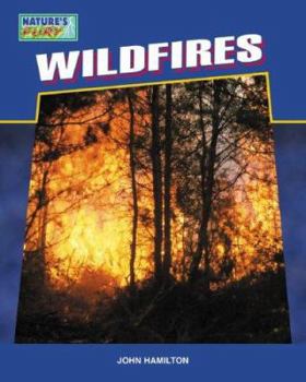 Library Binding Wildfires Book