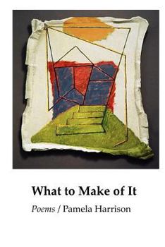 Paperback What to Make of It Book