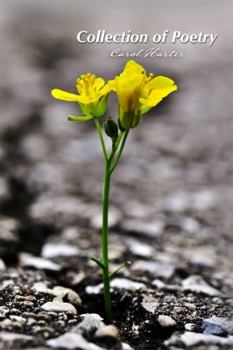 Paperback Collection of Poetry Book