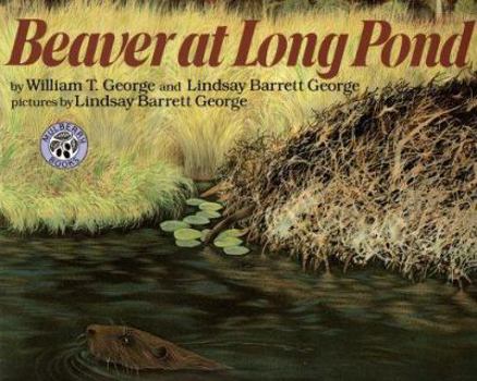 Beaver at Long Pond - Book  of the Long Pond