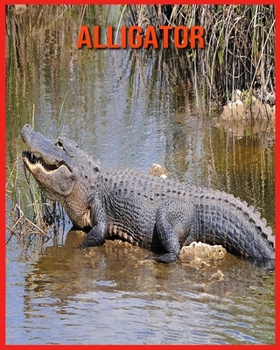Alligator: Informations Etonnantes & Images