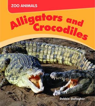 Library Binding Alligators and Crocodiles Book