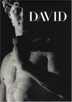 Hardcover Michelangelo's David: From Symbol to Myth Book