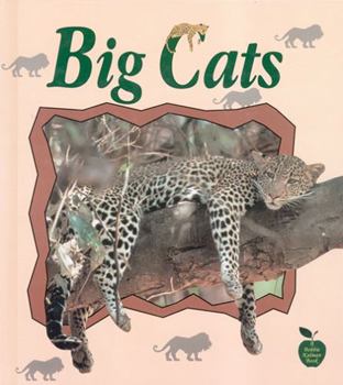 Paperback Big Cats Book