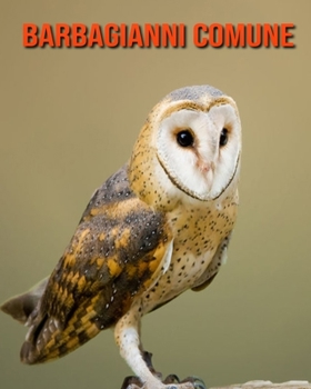 Barbagianni comune: Immagini bellissime e fatti interessanti Libro per bambini sui Barbagianni comune