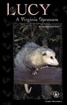 Hardcover Lucy: A Virginia Opossum Book