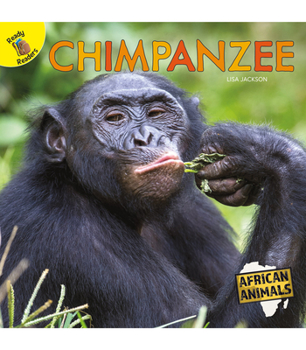 Paperback Chimpanzee Book