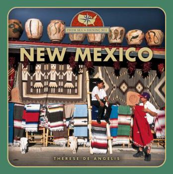 Paperback New Mexico Book