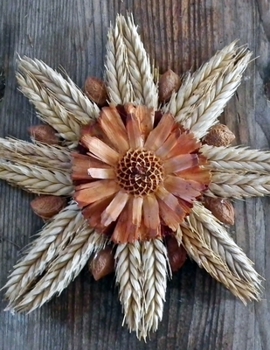Paperback Notebook: Harvest Festival Scenery Ornaments Corn 8.5" x 11" 150 Ruled Pages Book