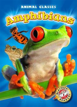 Paperback Amphibians Book