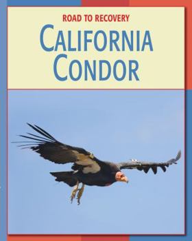 California Condor - Book  of the Road to Recovery