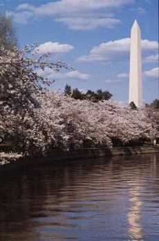 Hardcover Anything Book, Washington, D.C.: Washington Monument (Anything Book D.C. Series) Book