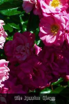 Paperback The Russian Clergy Book