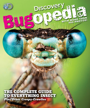 Paperback Discovery Bugopedia: The Complete Guide to Everything Insect Plus Other Creepy-Crawlies Book