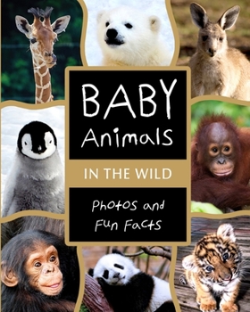 Paperback Baby Animals in the Wild: Photos and Fun Facts Book