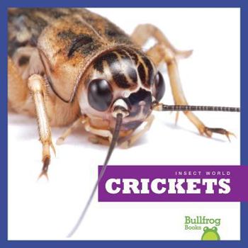 Crickets - Book  of the Insect World