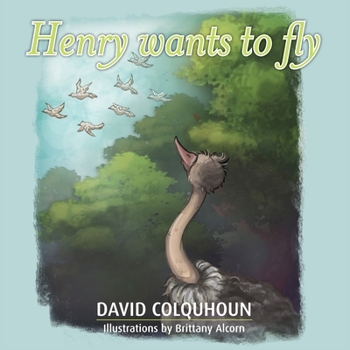 Paperback Henry wants to fly Book