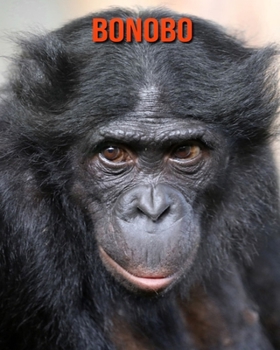 Bonobo: Erstaunliche Fakten & Bilder