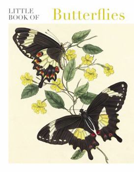 Paperback Little Book of Butterflies Book