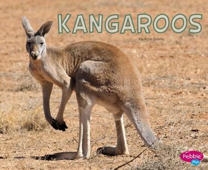 Hardcover Kangaroos Book