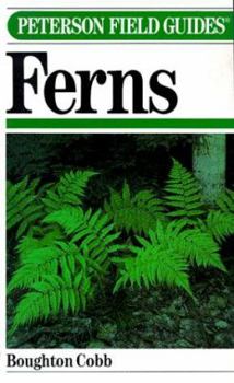 Paperback Ferns Book