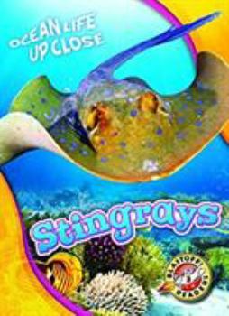 Stingrays - Book  of the Ocean Life Up Close