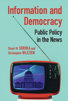 Hardcover Information and Democracy Book
