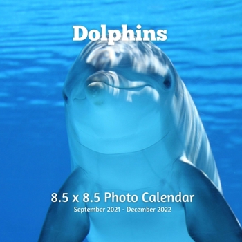 Paperback Dolphin 8.5 X 8.5 Calendar September 2021-December 2022: Monthly Calendar with U.S./UK/ Canadian/Christian/Jewish/Muslim Holidays-Marine Life Book