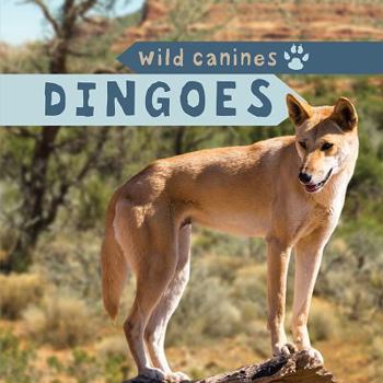 Library Binding Dingoes Book