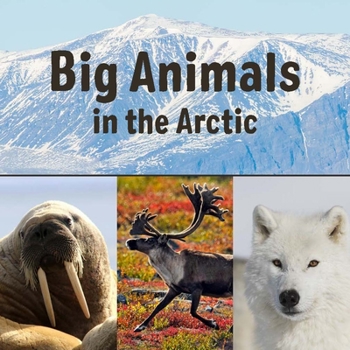 Paperback Big Animals in the Arctic: English Edition Book